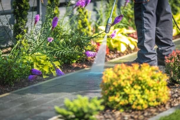 Best Dumpster Area Cleaning  in Crestwood, MO
